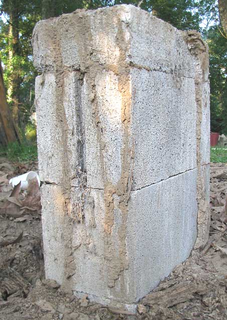 Brown termite mud tubes climbing a concrete foundation block